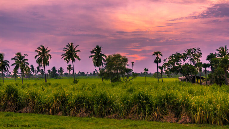 Srisailam – The Sacred Jyotirlinga Destination of South India