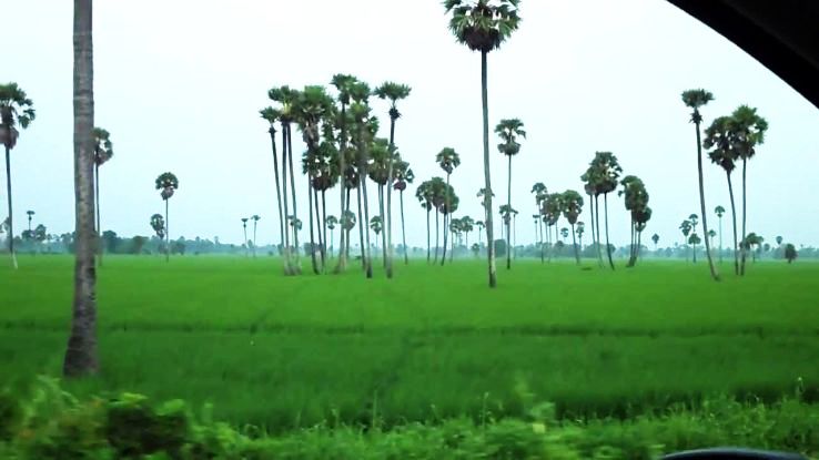 Dr. B.R. Ambedkar Konaseema – The Scenic Coconut Paradise of Andhra Pradesh