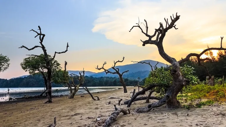 Mayabunder – The Cultural & Natural Retreat of the Middle Andamans