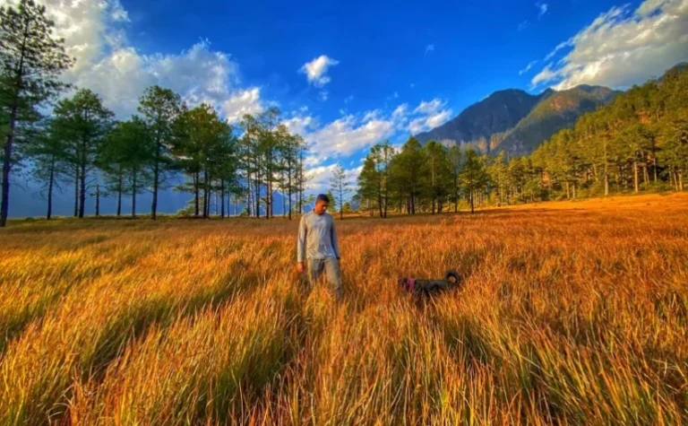 Hawai – The Hidden Paradise of Arunachal Pradesh