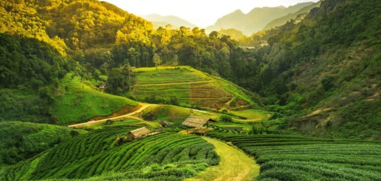 🌿 Kondagaon – The Craft & Cultural Hub of Bastar