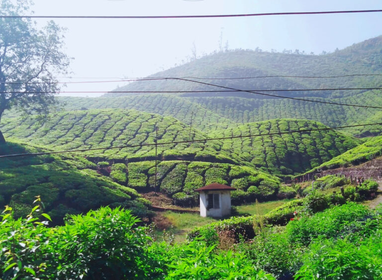 ⚡ Korba – The Power Capital of Chhattisgarh