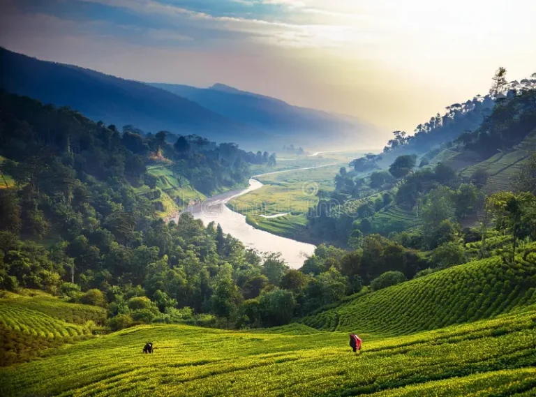 🏙 Raipur – The Capital City of Chhattisgarh