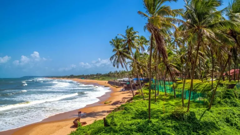 Colva – The Lively Beach Destination of South Goa