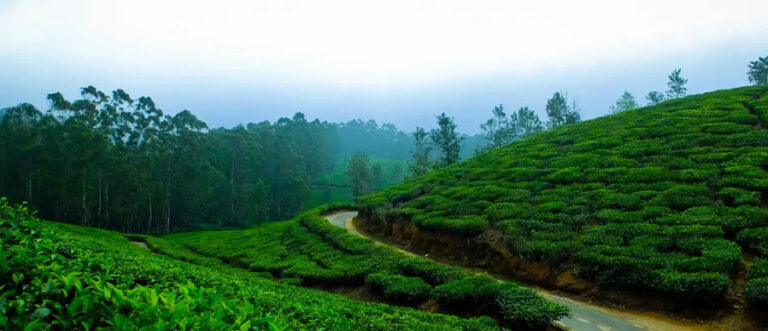 Bongaigaon – The Gateway to Western Assam