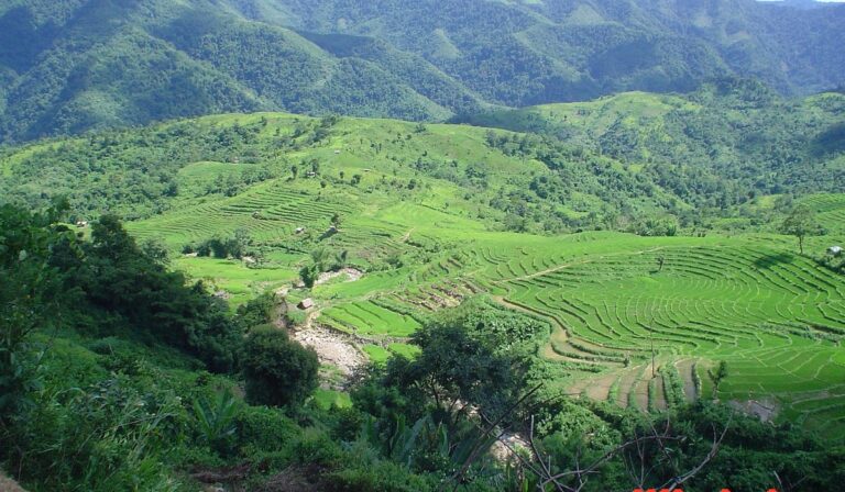 🏙 Durg – The Industrial & Educational Hub of Chhattisgarh